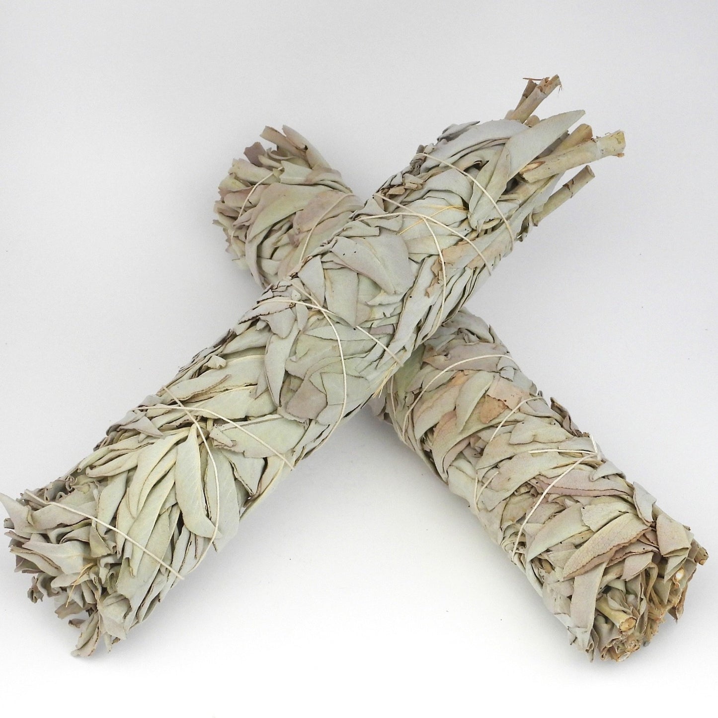 White Sage