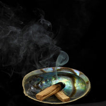 Load image into Gallery viewer, Abalone Shell Incense Holder
