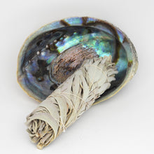 Load image into Gallery viewer, Abalone Shell Incense Holder
